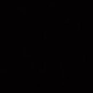 Meet your Posher, Dylan